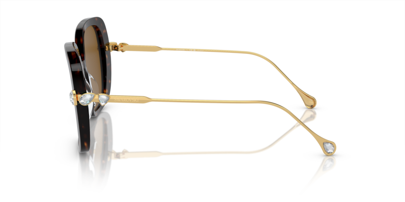 SK6011