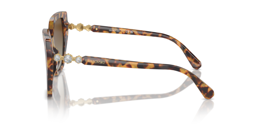 SK6016