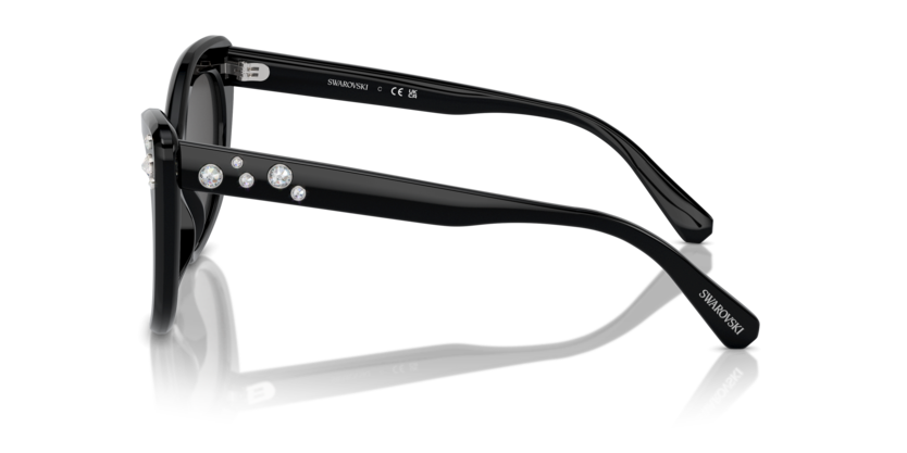 SK6020