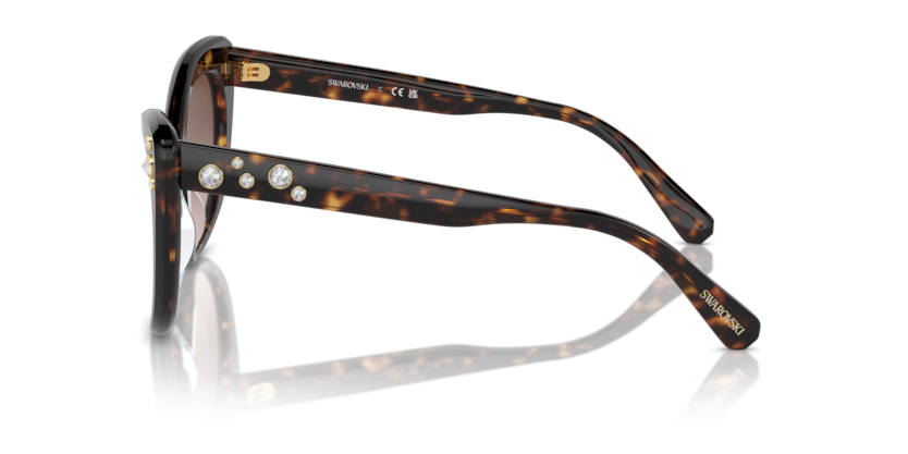 SK6020