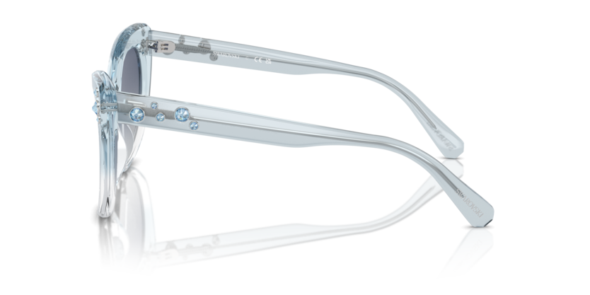 SK6020