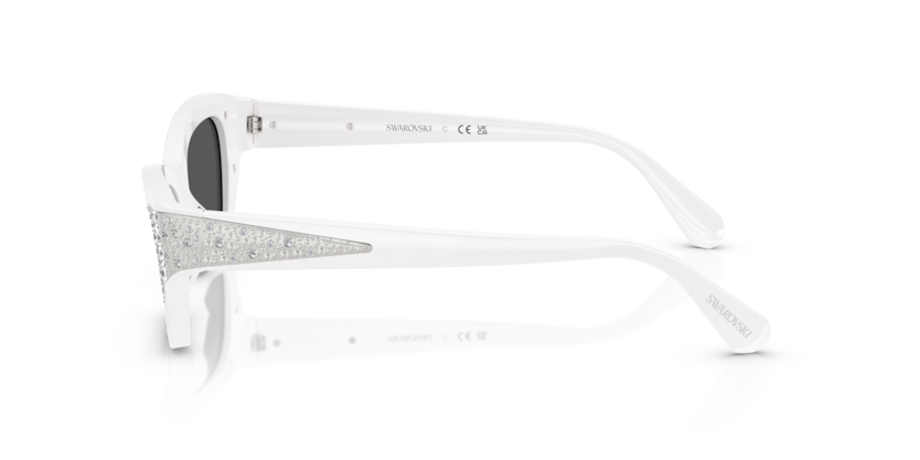 SK6029