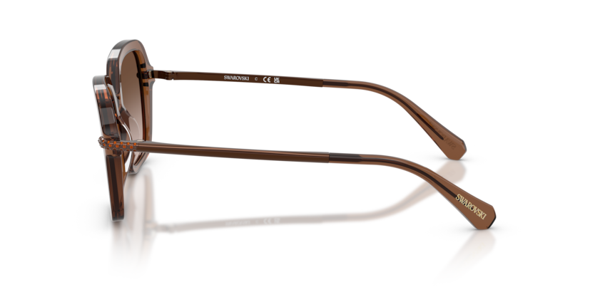 SK6040