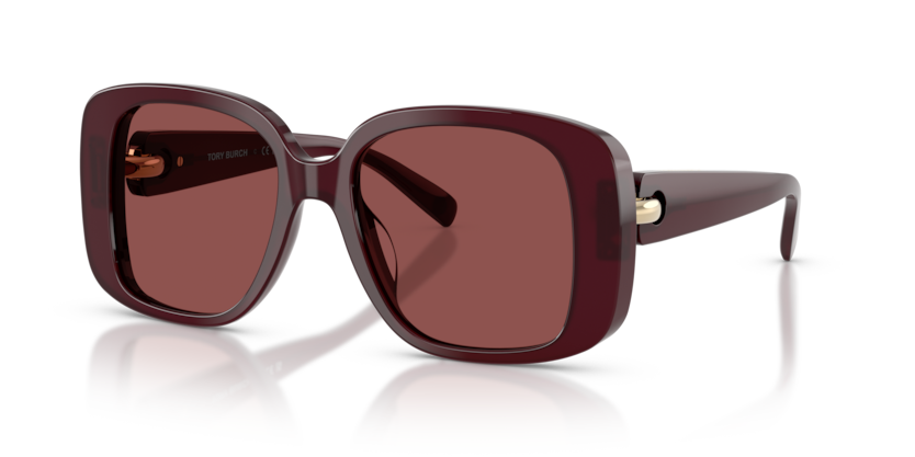Tory Burch Brown Sunglasses Tory Burch TY7143U L (56 - 21) with Brown lenses and Black  main image 3