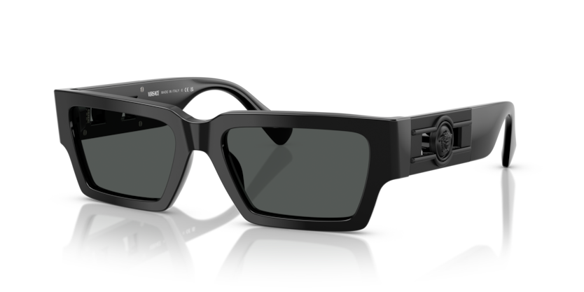 VERSACE サングラス Versace VE4459 Sunglasses | LensCrafters