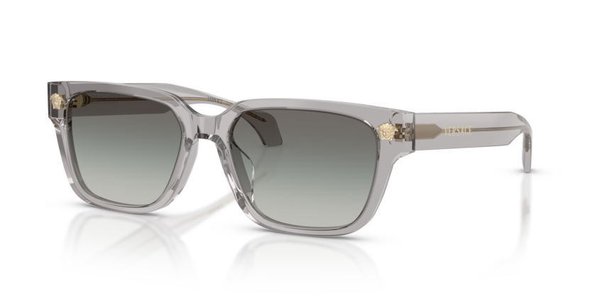 VE4513D