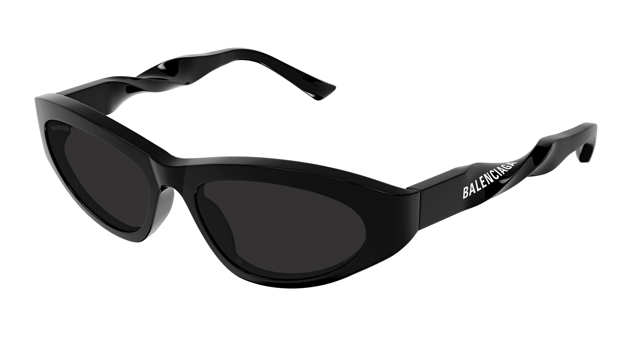 BALENCIAGA ブラック サングラス ケース付きBB0207S AQfmAUa9MbIsKeGhmBusTN7YGmtlnx