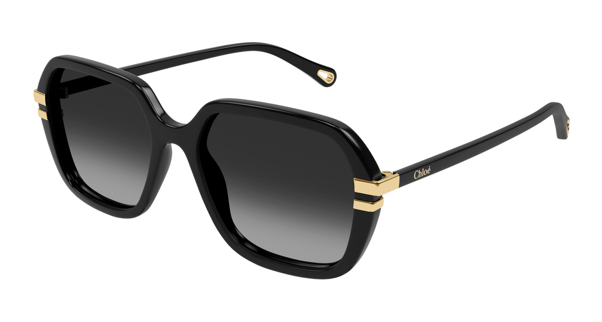 極美品　Chloe　クロエ　サングラス　CE674SA　ブラックレンズ・フレーム AQfnAUygyx0nUMcJmToLZooY34dWIa