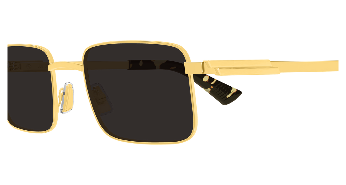 BV1469S