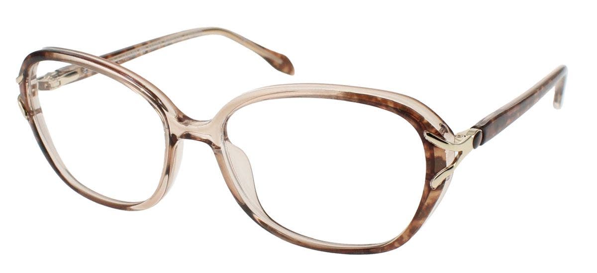CLEARVISION AMIRA