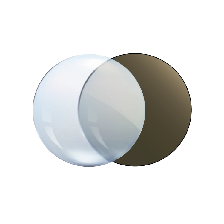 Progressive Transition Brown Lenses