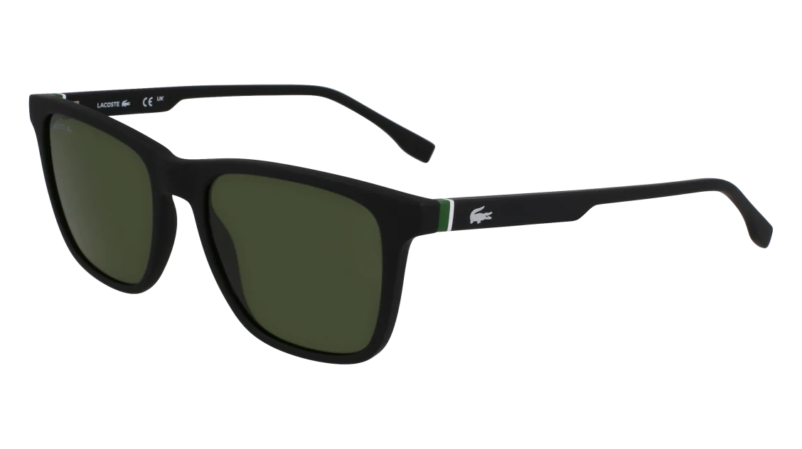 L6041S N