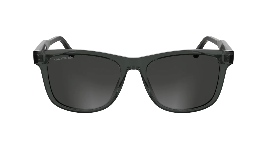 L6060S