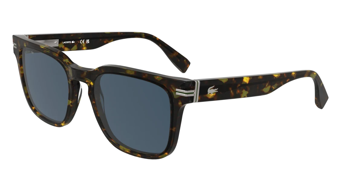 L6065S