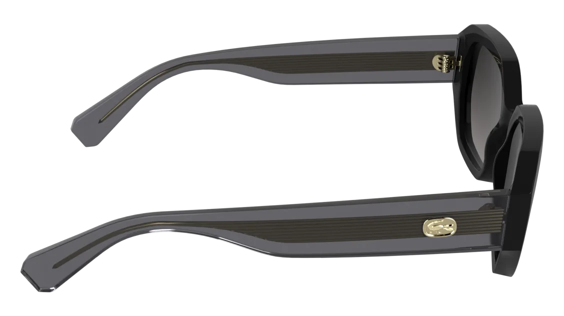 L6091S