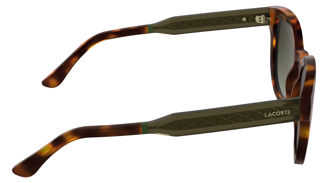 L6070S