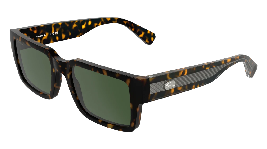 L6089S