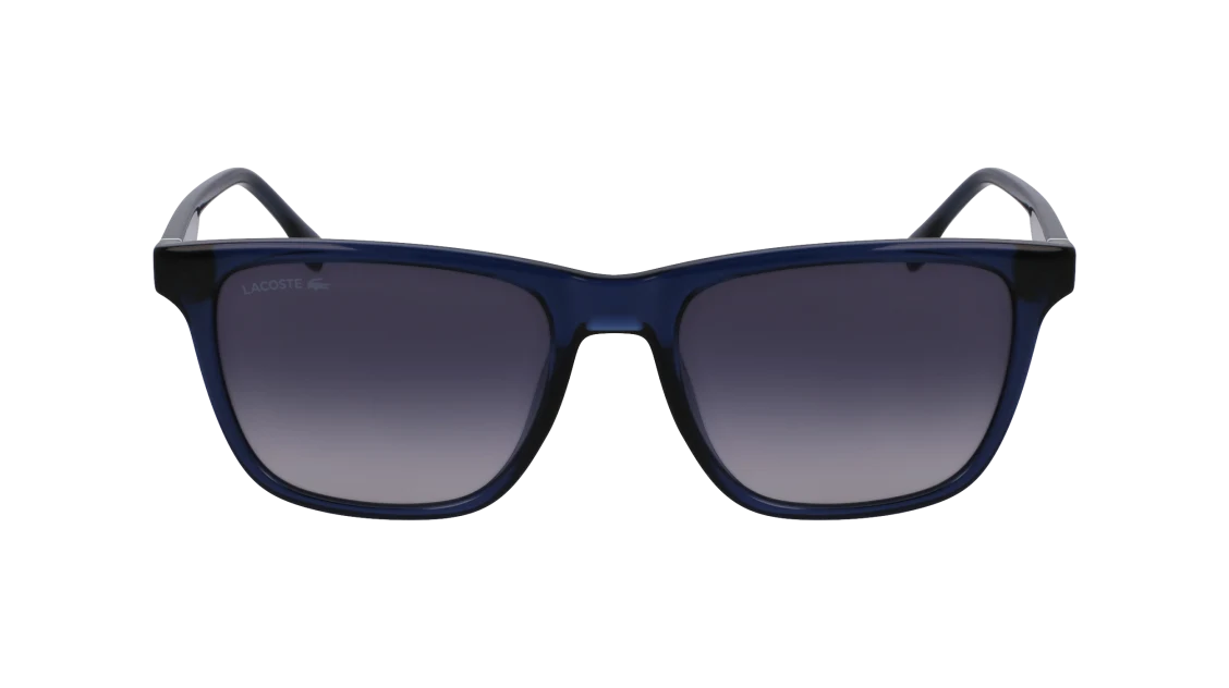 L6041S N