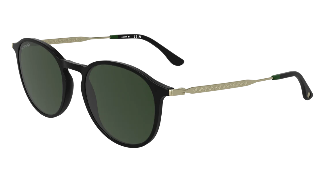 L6061S