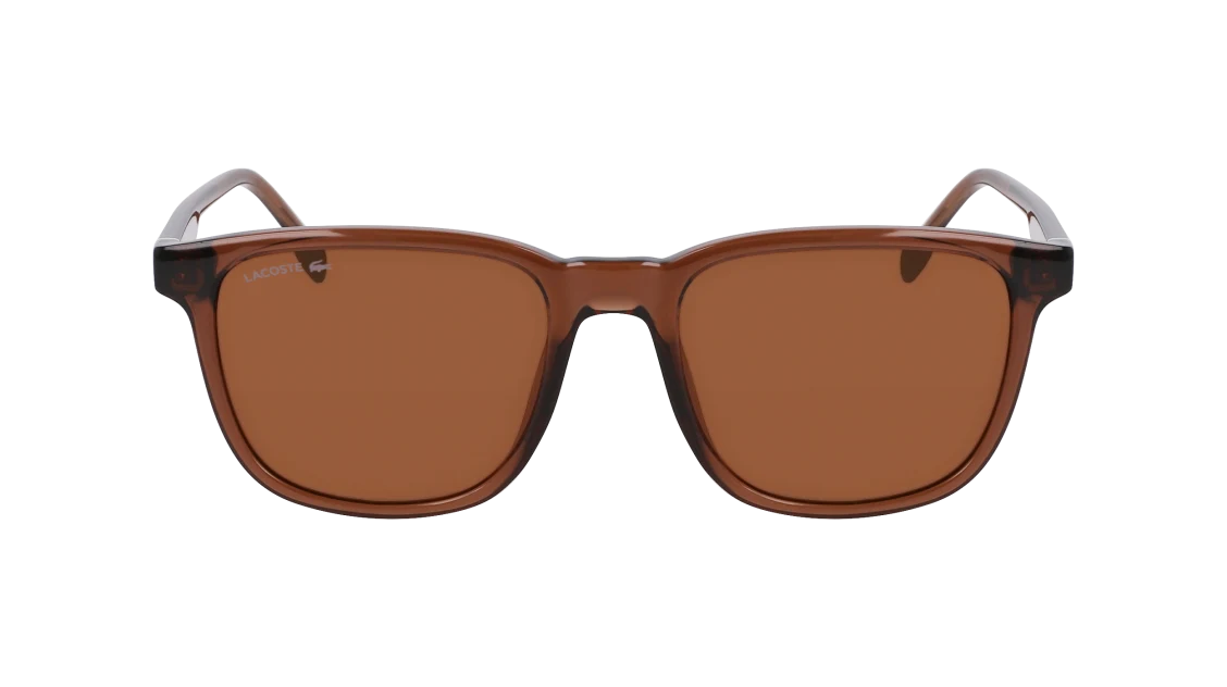 L6029S