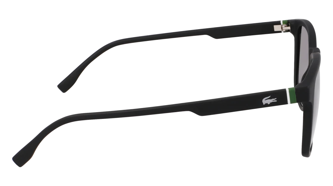 L6029S