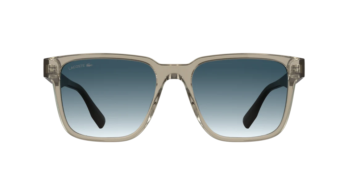 L6101S