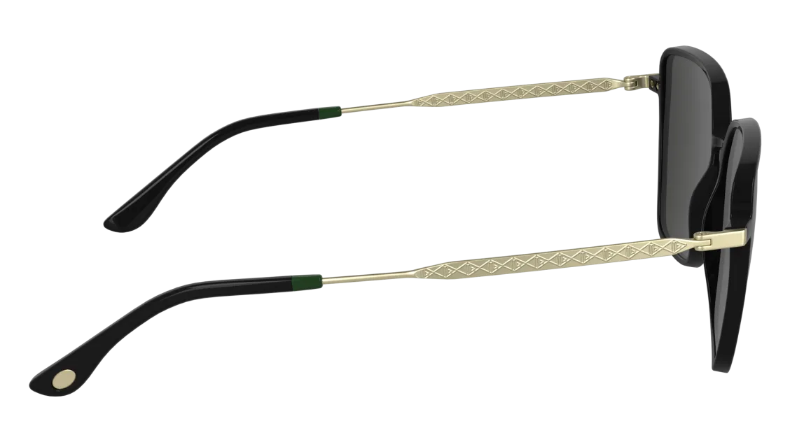 L6062S