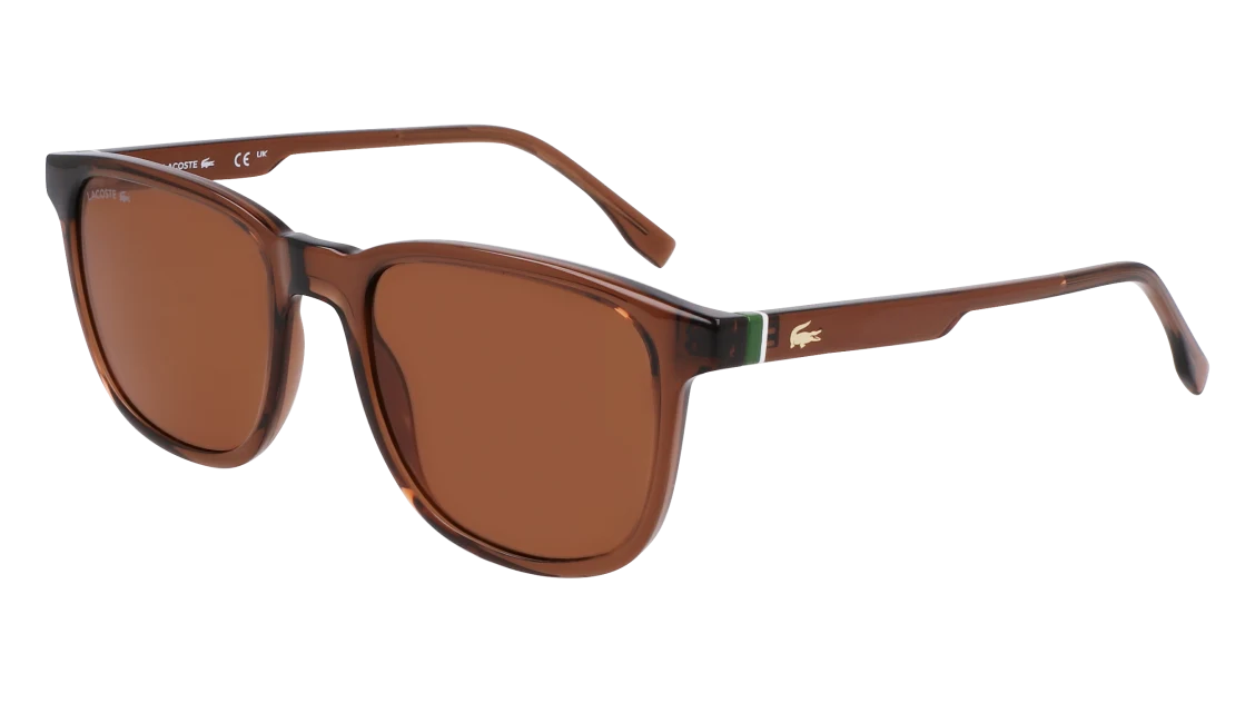 L6029S