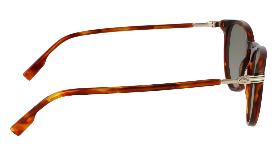 L6034S