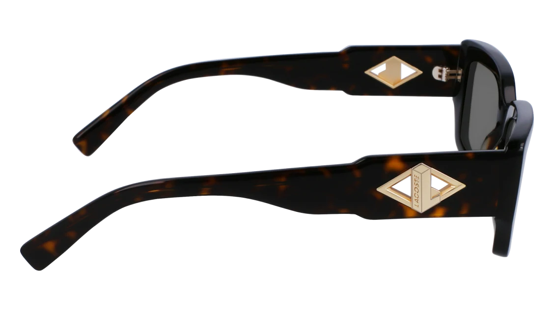 L6021S