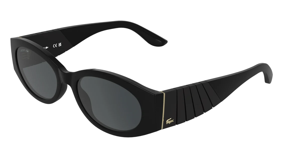 L6109S
