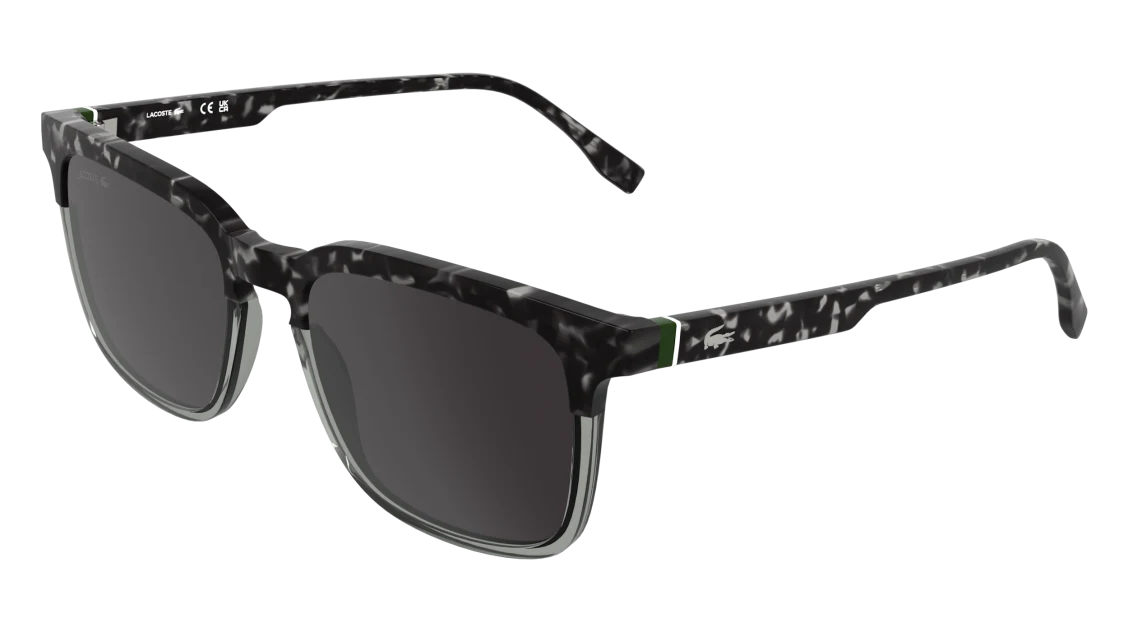L6074S
