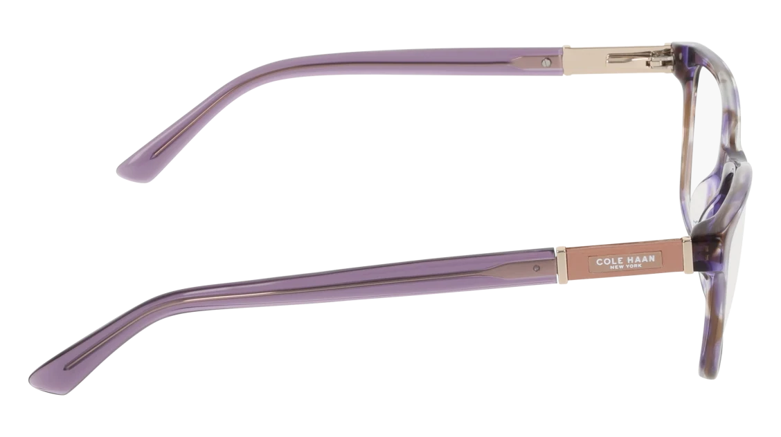 CH5060