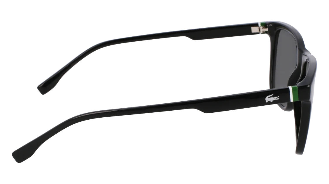 L6041S N