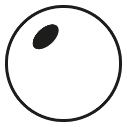 Line Bifocal Transition Grey Lenses*