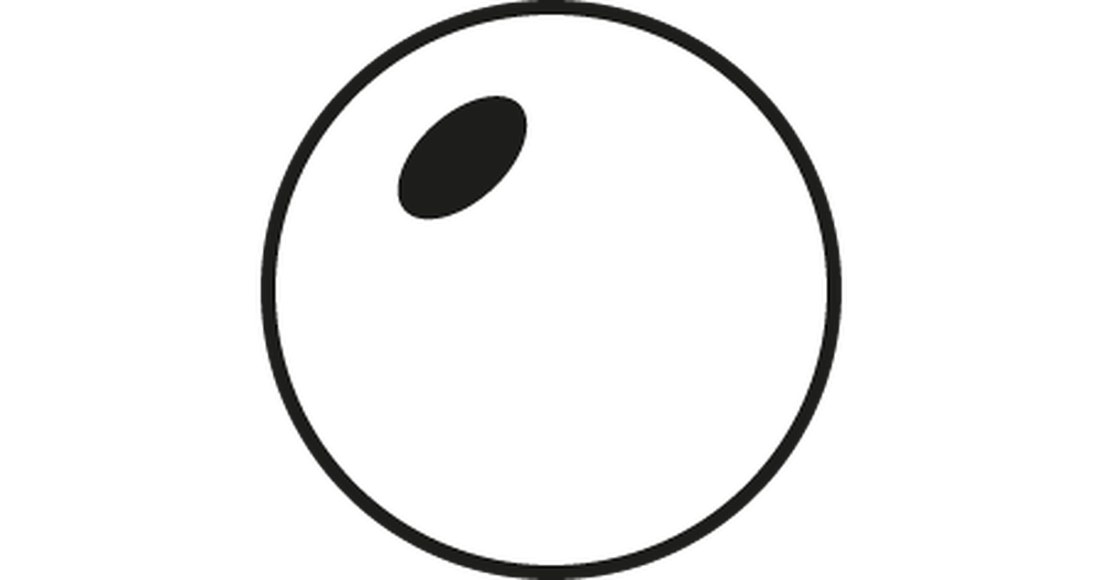 Single Vision Transition Brown Lenses*