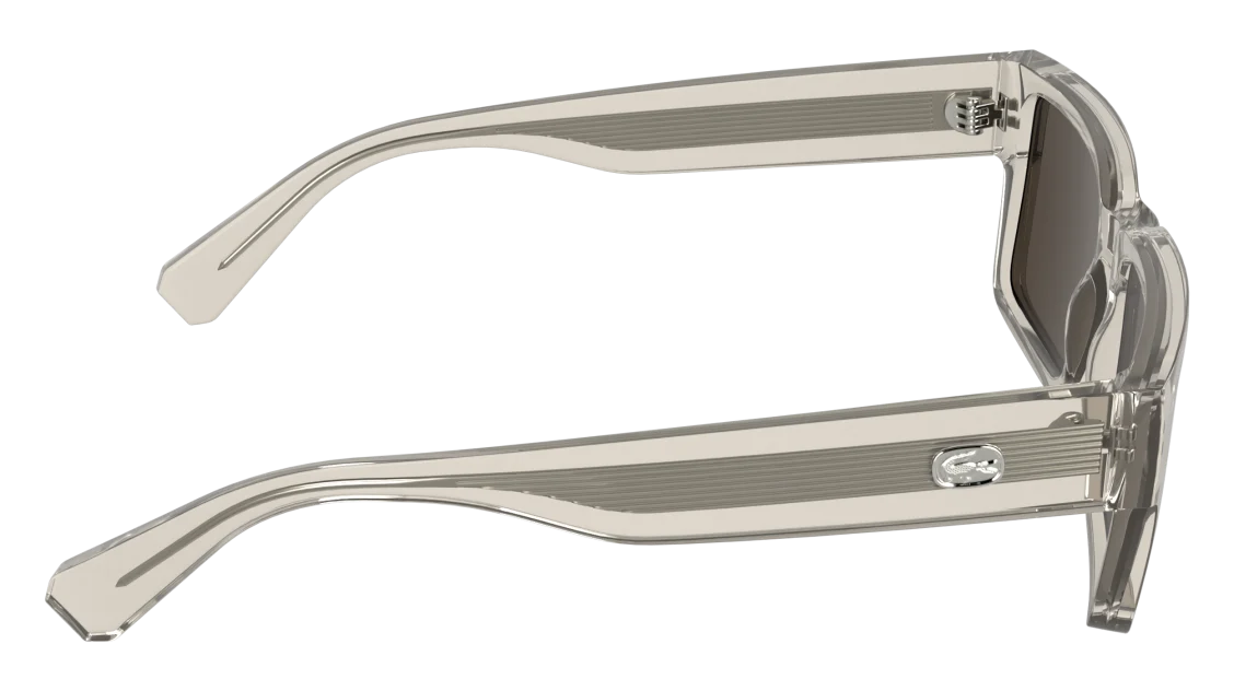 L6089S