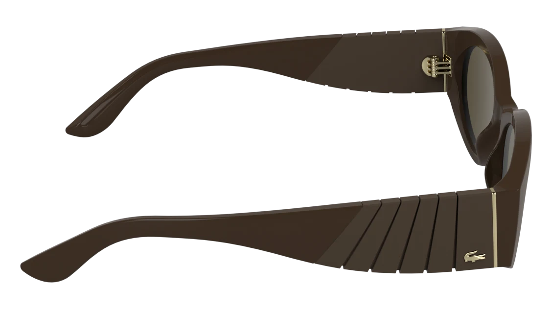 L6109S