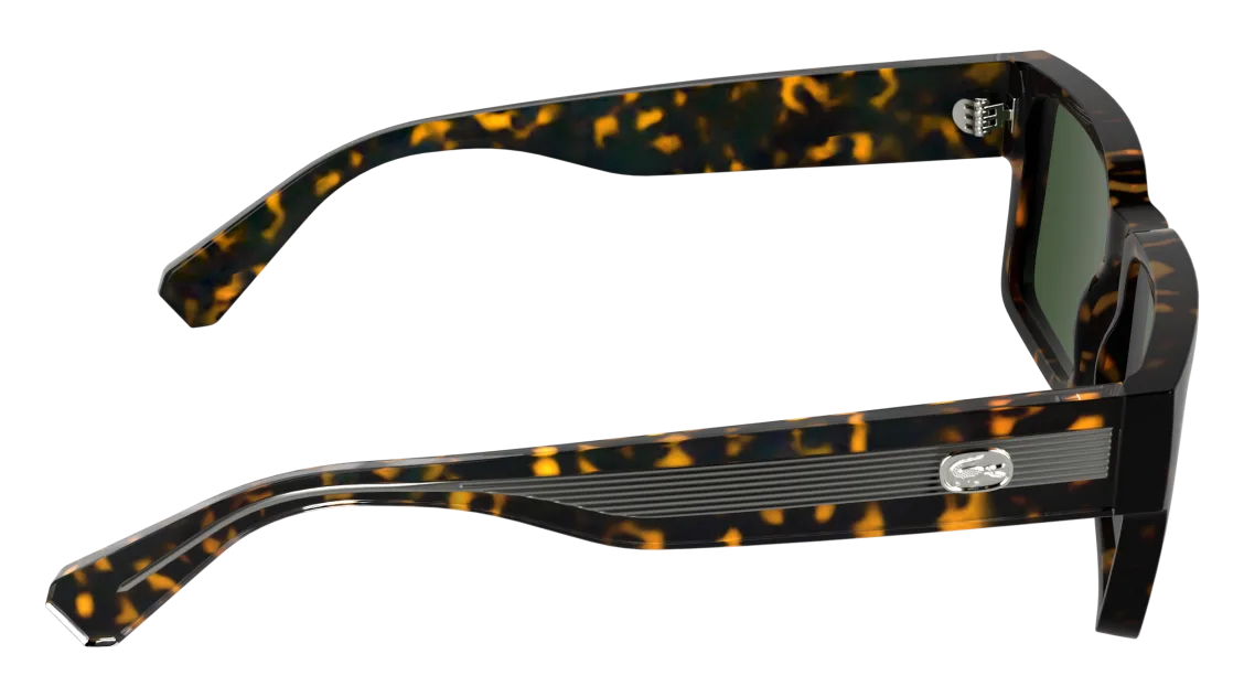 L6089S