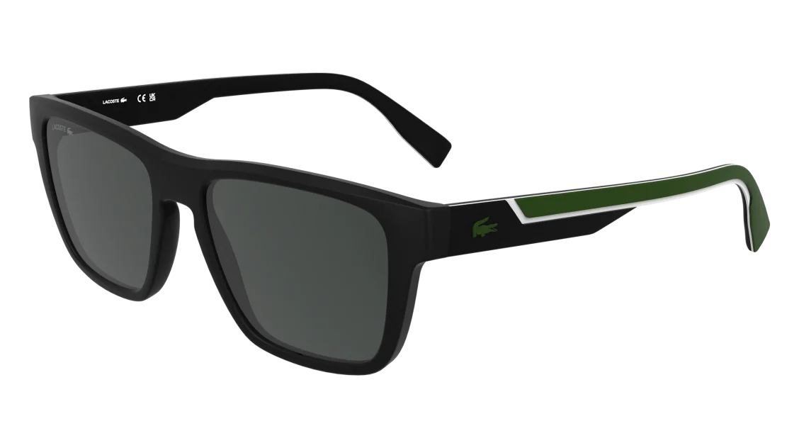 L6058S