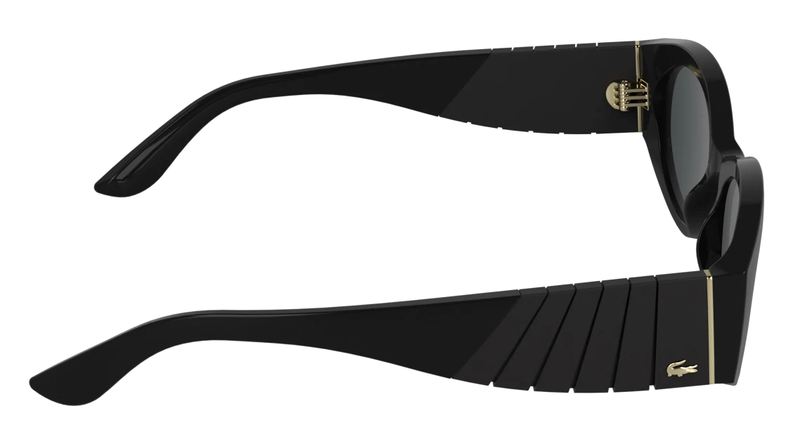 L6109S