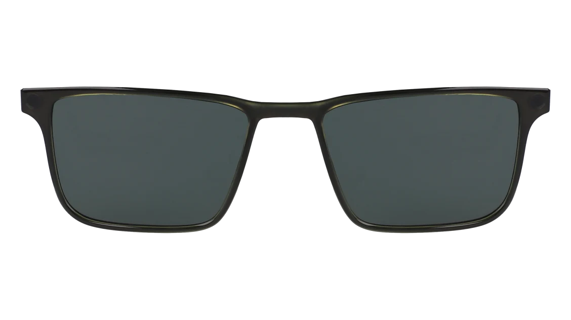 FLX1006MGC-CLIP