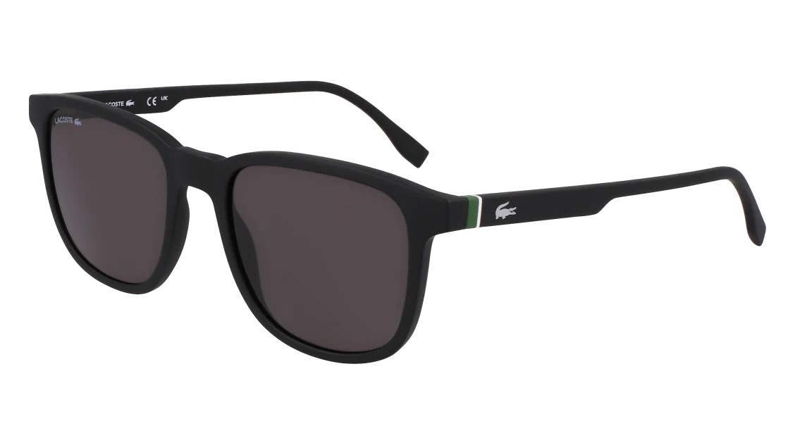L6029S