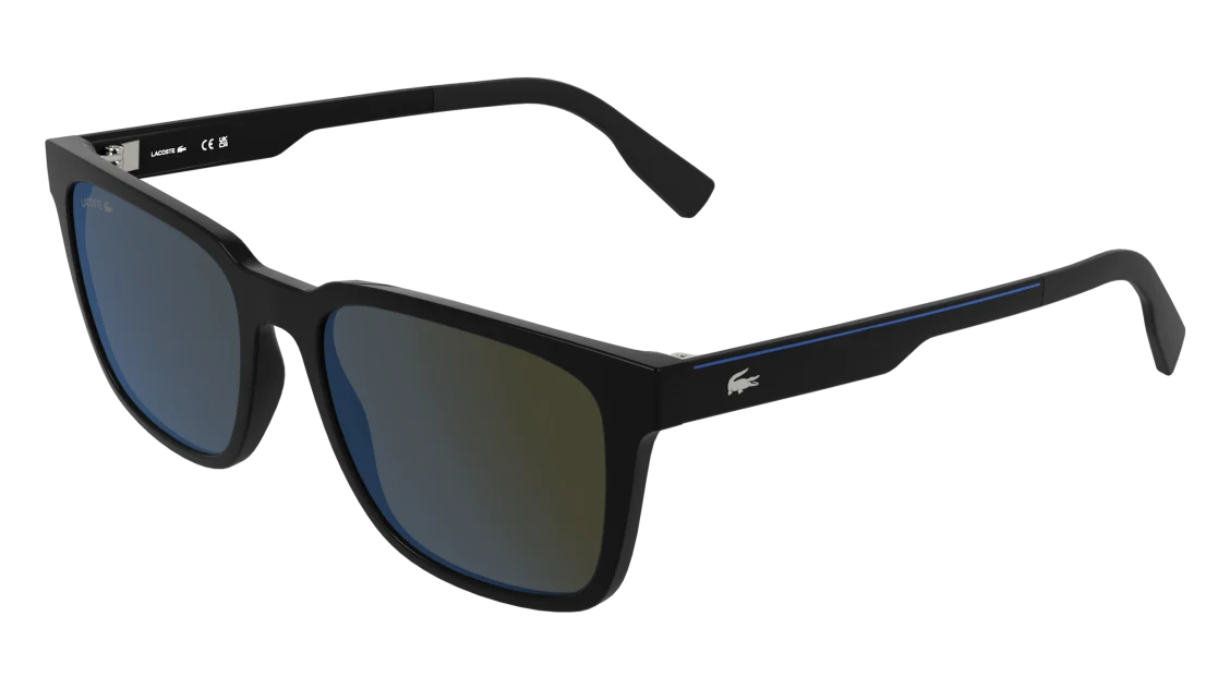 L6077S
