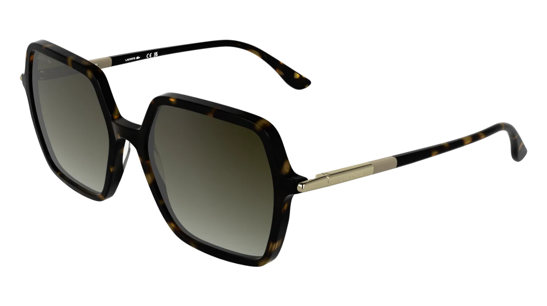 L6079S