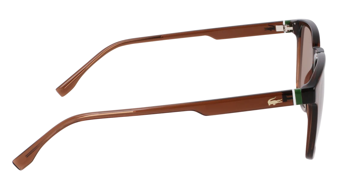 L6029S