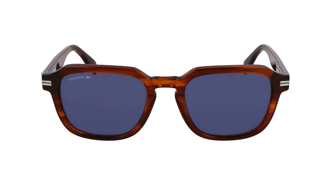 L6046S N