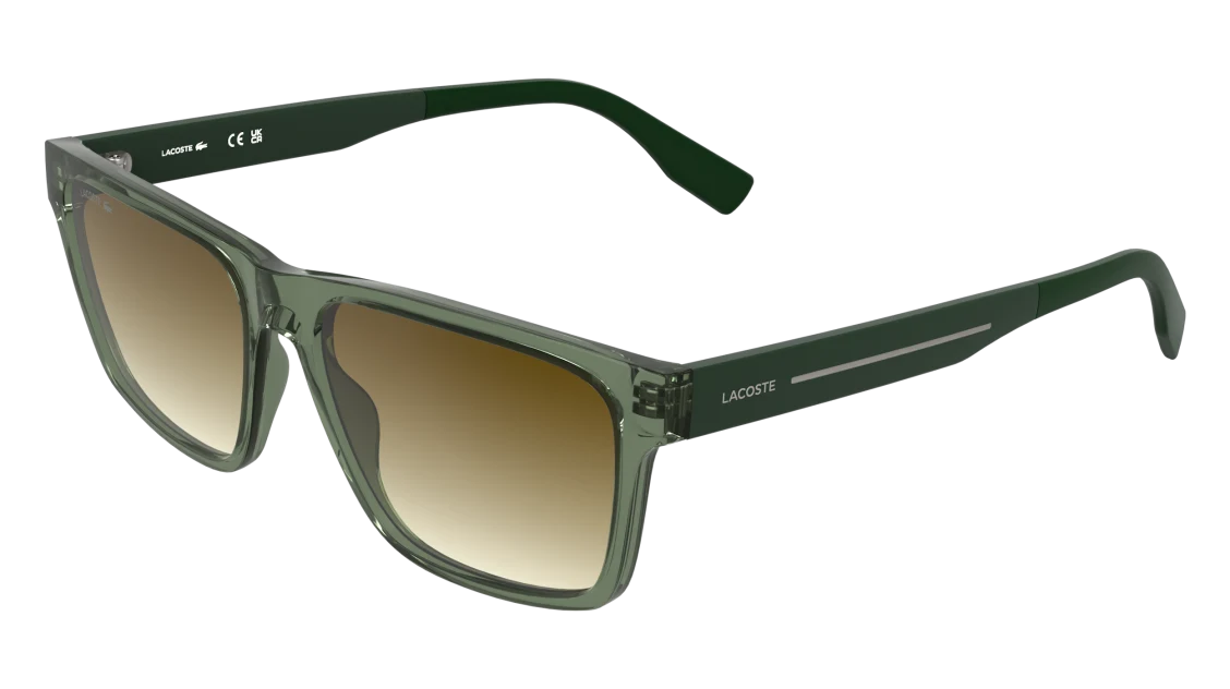 L6100S