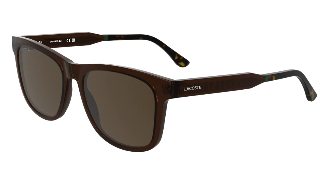 L6060S