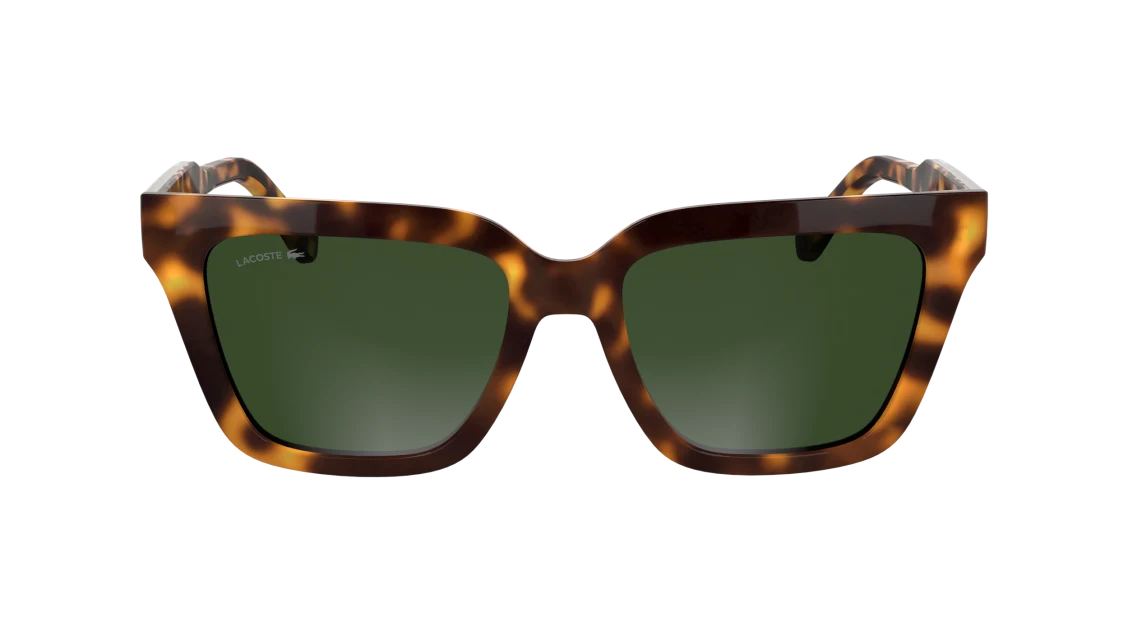 L6063S